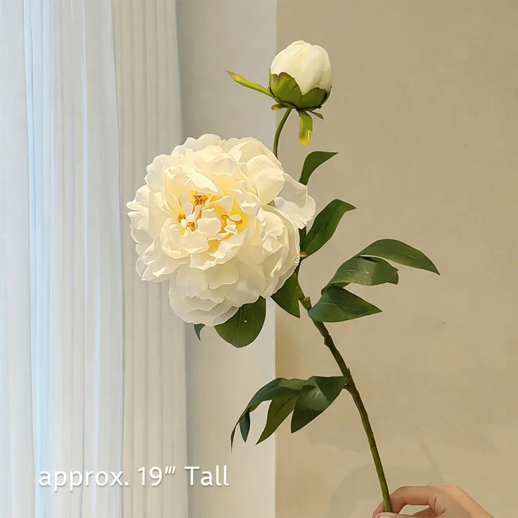 Timeless Ivory Peony Stem – 19”