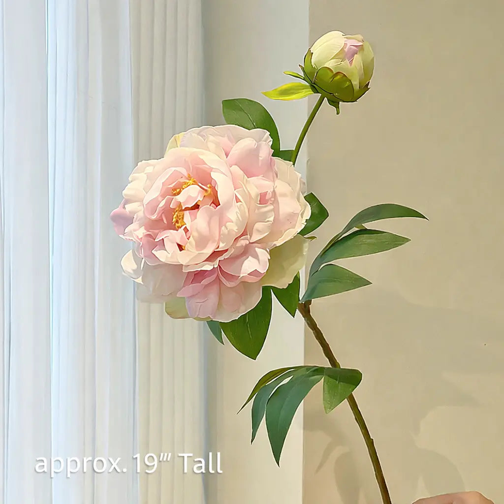 Timeless Ivory Peony Stem – 19”